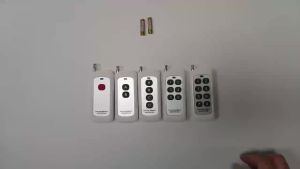 Wireless Smart Switch Light 433MHz Remote Control Interruptor 10A 110V 220V For LED Lamp