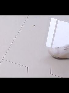 2023111817251..mp4