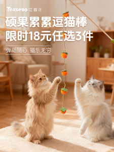 Cat Toy Durable Wooden Teaser Stick with Bell for Kittens Self-entertaining Boredom Buster Long Pole for Interactive Play