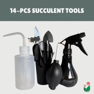 14- pcs Succulent and Terrarium Tools (Premium Black)