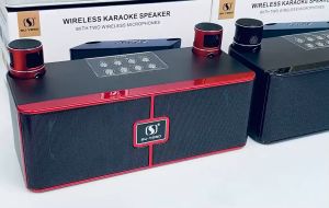 YS-204 Bluetooth Speaker With  Wireless Microphones Outdoor Family Karaoke With Stand Bluetooth  Dual Speaker 3D Stereo