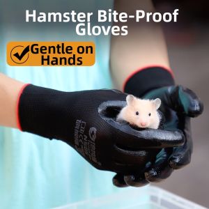 Terrain Kun | Pet Anti-Bite and Scratch Gloves