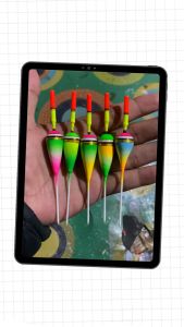 1 Pcs PELAMPUNG PANCING SPONS Starlite Premium TERMURAH