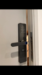 Khóa cửa vân tay Demax EL628 CB / SG mở bằng vân tay mật mã thẻ từ chìa cơ app wifi