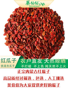 Large Kernels of  Red Gourd Seeds Plump Premium Raw Flavor Watermelon Seeds Directly Shipped from the Source