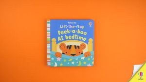 Usborne Lift the Flap Peekaboo Series