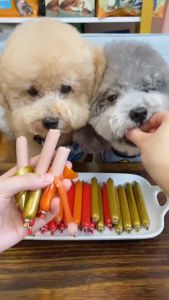 【BUY 10 SHIP 30】Dog Training Sausage Pet Sausage Dog Sausage Cat Sausage Pet Snack Cat Dog Food Treats Ham