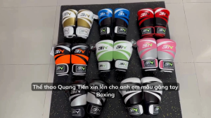 Găng tay boxing BN tặng kèm túi chính hãng đủ màu đủ size