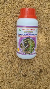 [Freeship Max] Phân bón lá Max Flower SIÊU TẠO NỤ giúp mai vàng sai nụ nụ mập cây sung khỏe chai 250ml_ THIEN THINH SHOP