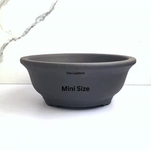 The Leaferie Bonsai Pot / Tray (Series 37) 2 Sizes big Plant pot . Zisha . Flowerpot . Purple Sand Planter. Flower pots