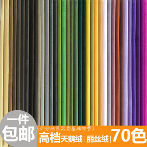 Pure Color Dutch Velvet Fabric for Sofa Cushion DIY Projects in Japan and South Korea Stylish Zhejiang Province Origin
