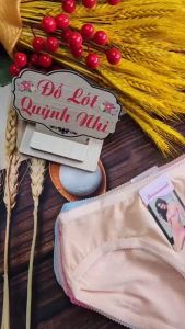 Combo 10 Quần Lót Nữ Thun Thông Hơi Chất Vải Co Giản Thoáng Mát Thấm Hút Mồ Hôi Size 40 - 55 Kg [6639] _ Đồ Lót Quỳnh Nhi
