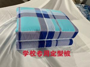 Quilt Square Block Pure Cotton Soybean Cotton Dormitory Single Person Special Use Washable Warm Winter Summer Double Use