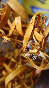 Kayu Secang Asli Hutan & Serut Halus