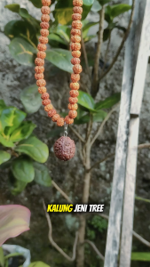 Cuan Hoki Kalung Aura Healing Natural Rudaksa Jenitri Original Bisa Cod