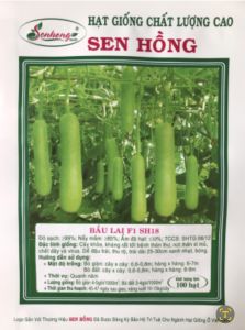 Hạt giống bầu sh18 sen hồng gói 100 hạt trái đẹp độ nảy mầm 99% kháng bệnh cao siêu năng xuất