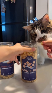 SEAFOODBUDDY_MY Freeze-Dried Cod Fish Cubes 100G | Gentle on Tummies & Easy Digestion | Lean Protein | Cat & Dog