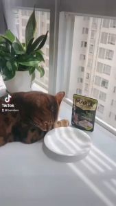 Pate cho mèo MARIA 70gr các vị - Petemo Pet Shop
