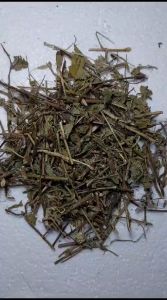 600gram Lu Yin Chen Tu Yin Chen Herba Origani Luk Jin Chen Oregano Herb
