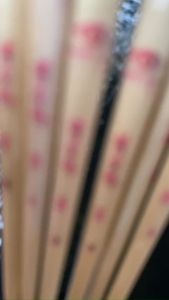 phao cỏ thủ công mắt lé - chuyên phi câu cá