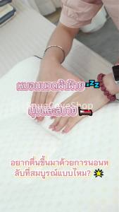 SnugCoveShop หมอนรักษา หมอนสบาย คอ บรรเทาอาการปวด หมอนโรงแรม บรรเทาอาการปวดคอ หมอนโรงแรม