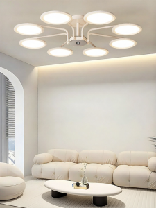 DGY | Cream Modern Simple Design Ceiling Light