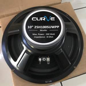 Speaker 10 Inch curve 25H100SUWPP Woofer Curve 25H100 SUWPP