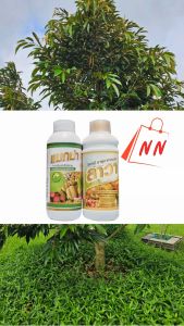 ปุ๋ยน้ำแมกม่า-ลาวา สารเสริมประสิทธิภาพ ปุ๋ยทางใบ ใช้ได้กับพืชทุกชนิด ของแท้100% สูตรฟื้นพืช