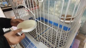 Chén gắn chuồng cho Chó Mèo bằng nhựa có nút vặn (mẫu mới) - Hara Pet Store