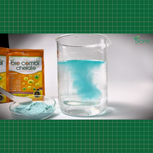 50 GÓI Phân bón vi lượng Bio Combi Chelate Thái Lan Chính Hãng 25 gr