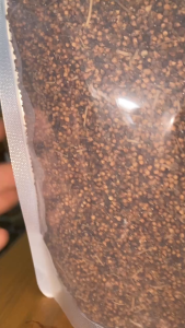 500gr nụ vối siêu sạch giảm mỡ máu giải độc chống lão hóa làm đẹp da ngăn ngừa xơ vữa động mạch