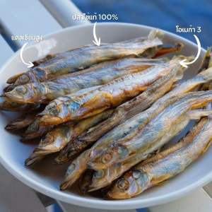 Wiggle Wiggle ฟรีซดราย Freeze Dried Dog ขนมสุนัข มีเลขทะเบียนอาหารสัตว์ปลอดภัย100% ผลิตจากวัตถุดิบระดับ Human Grade ขนาด40กรัม