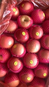 BUAH APEL FUJI PREMIUM 1KG RUMAH BUAH