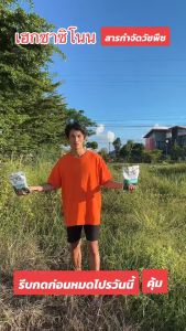 [ซื้อ 2 แถม 1] ยาฆ่าต้นไม้ใหญ500g 100%รากไม้เน่า ผงกำจัดกอไผ่ สร้างมาเพื่อฤดูฝน ยาฆ่าตอต้นไม้ แค่โรยเพียงเล็กน้อย กำจัดวัชพืชเปิดที่รกราง สารกำจัดกอไผ่ กำจัดต้นไม้