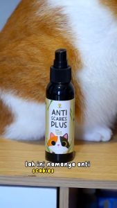 Clever Solutions Anti Scabies Plus Obat Jamur Kucing Scabies Gudik Demodex Impetigo Kutu Pada Anabul