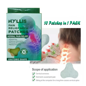 BUY 2 TAKE 1 Pain Relief Neck Patches Herbal Pain Relief Reduces Inflammation Promotes Blood Circulation 10PCS