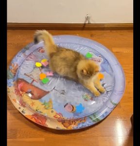 Hot💥Pet Play Water Mat Water Fillable and Inflatable Cat Interactive Water Mat Universal Patting Mat for Cats and Dogs Dog Cooling Mat Childrens Climbing Toys Random Color