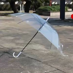 🔴COD🔴Umbrella Transparent Long Handle Automatic Open Windproof Frosted Trendy Clear Rainbow Rain Payung Hujan Lut Sinar