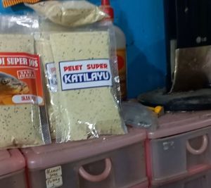 racikan umpan segala jenis ikan yg di racik dengan getah katilyau