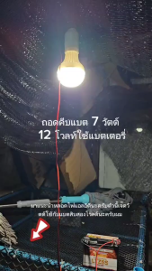 หลอดไฟปิงปองไฟคีบแบต LED DC 12v พร้อมปากคีบ ใช้กับแบตเตอร์รี่ (มีสวิตช์ เปิด-ปิด) แสงขาว ไฟคีบแบตตลาดนัด