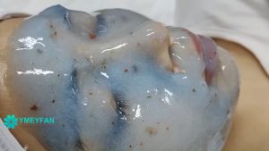 KeraSys เจลลี่มาร์ค เจลลี่มาส์ก มาส์กหน้า มาส์กผง ผิวชุ่มชื่น ของแท้100% 650g มาส์กหน้าใส Jelly facial mask มาร์คหน้า