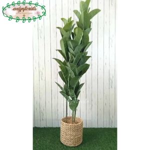 Pohon Daun Karet T180 & Dekorasi Ruangan