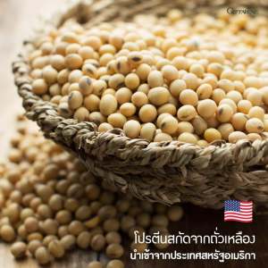 กิฟฟารีน โปรตีนพืช 11g. วีแกน Plant based เวย์โปรตีน โปรตีนเวย์ Whey Protein โปรตีน Isolate โปรตีนถั่วลันเตา โปรตีนถั่วเหลือง เครื่องดื่ม โปรตีนจากพืช