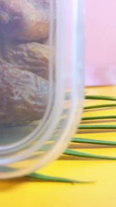 Kurma Palm Frutt 500gr - Kurma Tunis Tangkai - Palm Fruit - bisa bayar di tempat