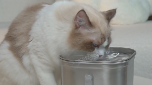 HATELI น้ำพุสำหรับแมว น้ำพุสำหรับสัตว์เลี้ยงสแตนเลส ปั๊มเงียบพิเศษ 2.2 ลิตร/73 ออนซ์ เครื่องจ่ายน้ำอัตโนมัติสำหรับสุนัข ชามน้ำสำหรับสัตว์เลี้ยงหลายตัว น้ำพุ