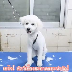 กรรไกรตัดขนแมวสุนัข เครื่องตัดขนสุนัข ปัตตาเลี่ยนสัตว์เลี้ยง เครื่องตัดขนแมว เหมาะสำหรับสัตว์เลี้ยงทุกชนิด!