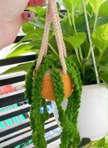 Chậu Cây Cảnh Dây Leo Bằng Bông Trang Trí Nhà Handmade
