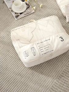SG spot Travel suitcase compartmentalized storage bags