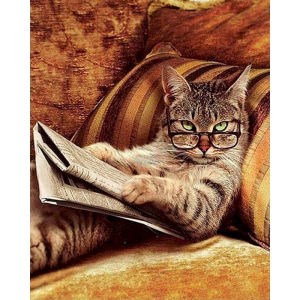 BILIBILI | Acrylic Paint By Number Kits Cat DIY Pictures By Numbers Drawing on Canvas Hand Painted Painting Art Gift Wall Decor
