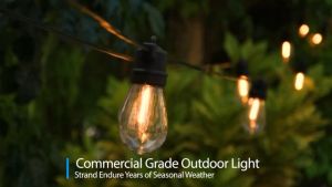 100FT String Lights Outdoor Waterproof 220V Christmas String Light electric Globe Patio Lights with Shatterproof LED Bulbs connectable wire
